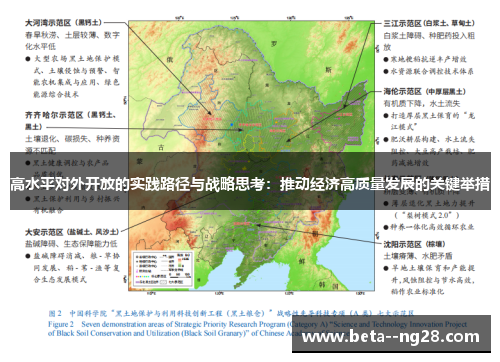 高水平对外开放的实践路径与战略思考:推动经济高质量发展的关键举措 高水平对外开放的实践路径与战略思考:推动经济高质量发展的关键举措