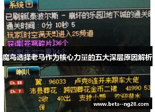 魔鸟选择老马作为核心力量的五大深层原因解析