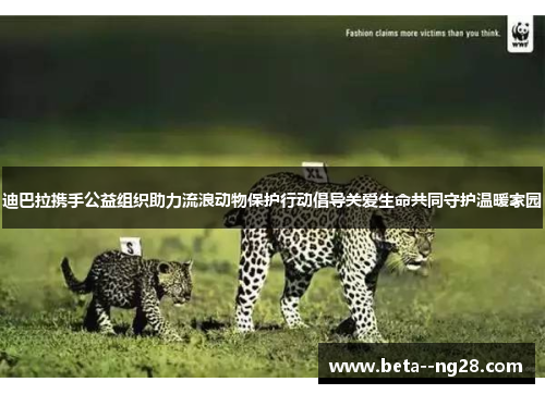 迪巴拉携手公益组织助力流浪动物保护行动倡导关爱生命共同守护温暖家园 迪巴拉携手公益组织助力流浪动物保护行动倡导关爱生命共同守护温暖家园